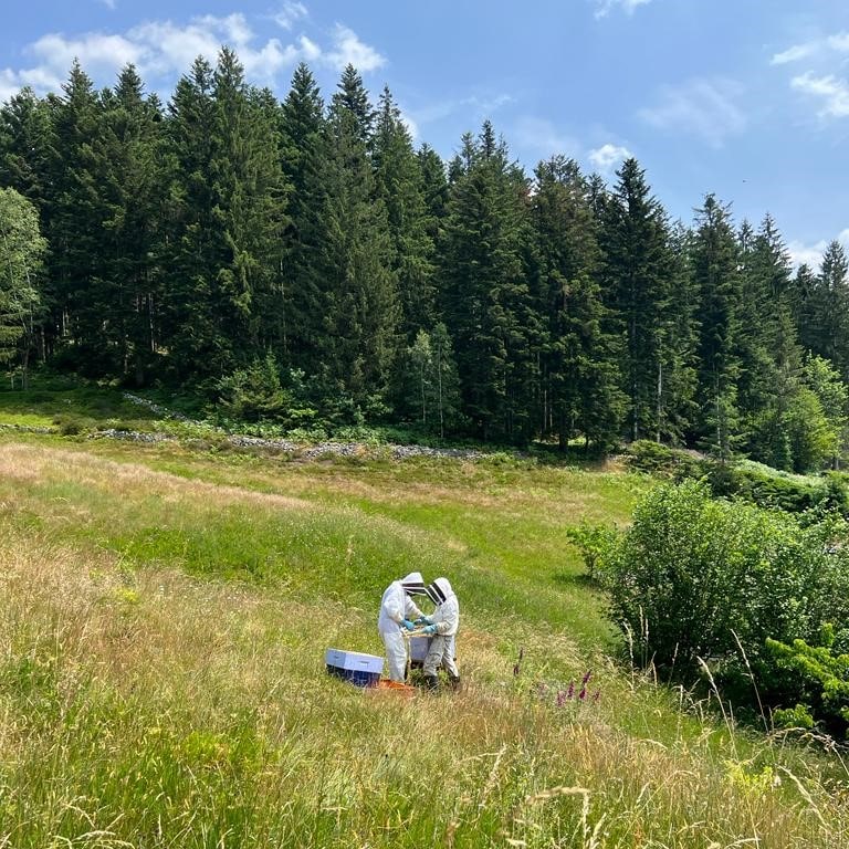 Beekeepers on the La Reine Capricieuse estate in the Vosges Natural Park
