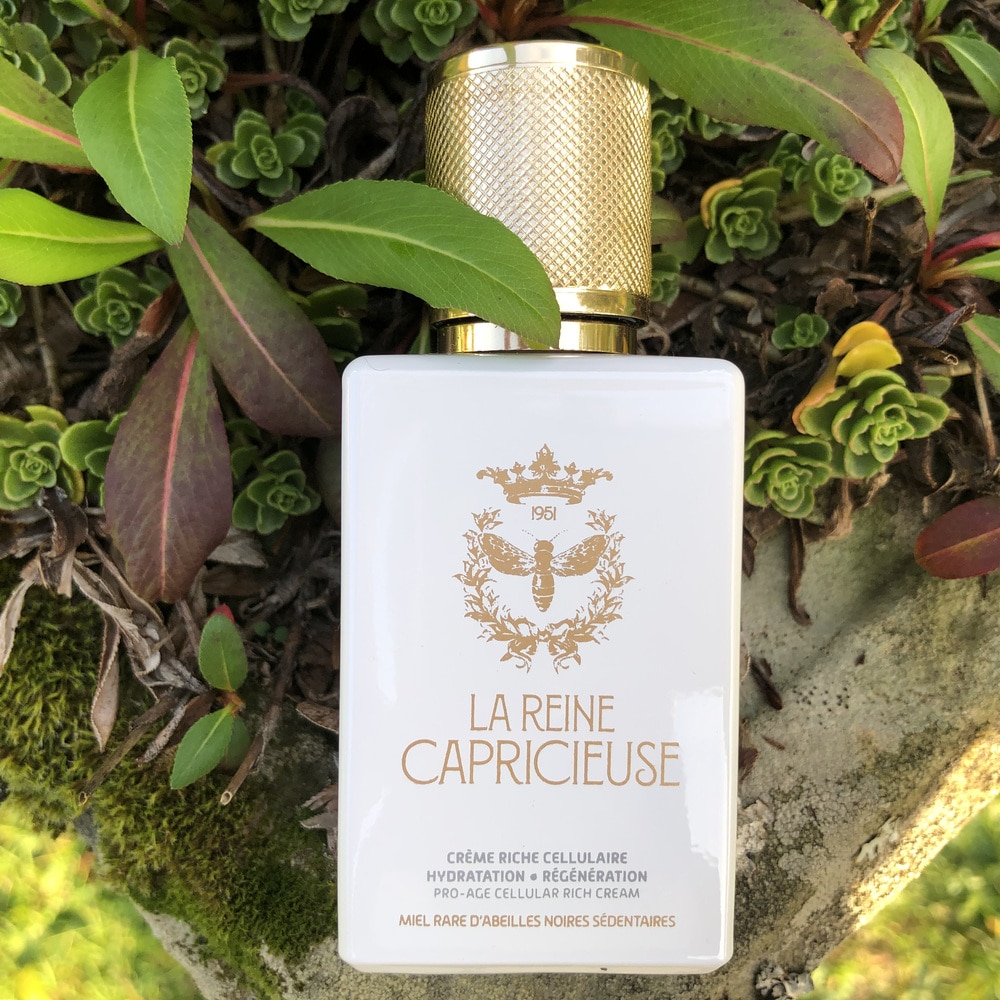 soigner et hydrater sa peau naturellement, les bienfaits des plantes