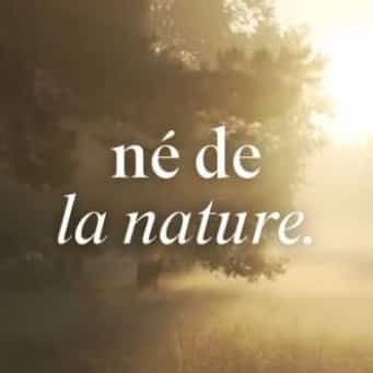 Instagram La Reine Capricieuse